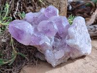 Natural Jacaranda Amethyst Quartz Cluster x 1 From Mumbwa, Zambia - Toprock Gemstones and Minerals