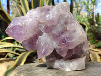 Natural Jacaranda Amethyst Quartz Cluster x 1 From Mumbwa, Zambia - Toprock Gemstones and Minerals