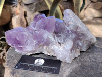 Natural Jacaranda Amethyst Quartz Cluster x 1 From Mumbwa, Zambia - Toprock Gemstones and Minerals