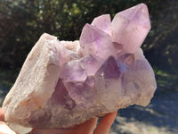 Natural Jacaranda Amethyst Quartz Cluster x 1 From Mumbwa, Zambia - Toprock Gemstones and Minerals