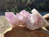 Natural Jacaranda Amethyst Quartz Cluster x 1 From Mumbwa, Zambia - Toprock Gemstones and Minerals