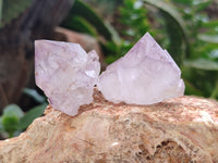 Natural Dark and Lilic Amethyst Spirit Quartz Crystals x 35 From South Africa - Toprock Gemstones and Minerals