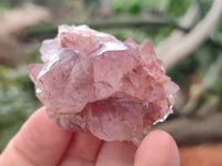 Natural Dark and Lilic Amethyst Spirit Quartz Crystals x 35 From South Africa - Toprock Gemstones and Minerals