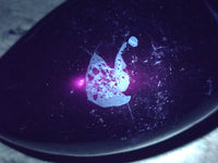 Polished Black Tourmaline Standing Free Form x 2 From Madagascar - Toprock Gemstones and Minerals