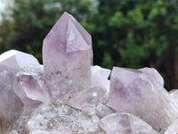 Natural Jacaranda Amethyst Quartz Cluster x 2 From Mumbwa, Zambia - Toprock Gemstones and Minerals
