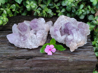 Natural Jacaranda Amethyst Quartz Cluster x 2 From Mumbwa, Zambia - Toprock Gemstones and Minerals