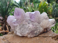 Natural Jacaranda Amethyst Quartz Cluster x 2 From Mumbwa, Zambia - Toprock Gemstones and Minerals