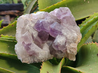 Natural Jacaranda Amethyst Quartz Cluster x 2 From Mumbwa, Zambia - Toprock Gemstones and Minerals