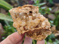 Natural Limonite Quartz Clusters x 12 From Solwezi, Zambia - Toprock Gemstones and Minerals