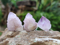 Natural Ametrine Spirit Quartz Clusters x 35 From Boekenhouthoek, South Africa - Toprock Gemstones and Minerals