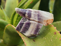 Natural Witches Hat Chevron Amethyst Crystals x 3.05 Kg Lot from Zambia - Toprock Gemstones and Minerals