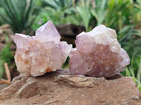 Natural Dark Amethyst Spirit Quartz Clusters x 12 From Boekenhouthoek, South Africa - Toprock Gemstones and Minerals