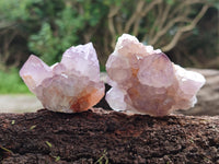 Natural Dark Amethyst Spirit Quartz Clusters x 12 From Boekenhouthoek, South Africa - Toprock Gemstones and Minerals