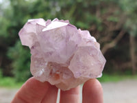 Natural Dark Amethyst Spirit Quartz Clusters x 12 From Boekenhouthoek, South Africa - Toprock Gemstones and Minerals