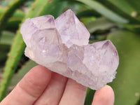 Natural Dark Amethyst Spirit Quartz Clusters x 12 From Boekenhouthoek, South Africa - Toprock Gemstones and Minerals