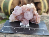 Natural Dark Amethyst Spirit Quartz Clusters x 12 From Boekenhouthoek, South Africa - Toprock Gemstones and Minerals