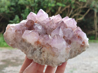 Natural Ametrine Spirit Quartz Clusters x 2 From Boekenhouthoek, South Africa - Toprock Gemstones and Minerals