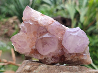 Natural Ametrine Spirit Quartz Clusters x 2 From Boekenhouthoek, South Africa - Toprock Gemstones and Minerals