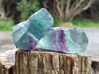 Natural Watermelon Fluorite Cobbed Specimens x 4.03 Kg Lot From Uis, Namibia - Toprock Gemstones and Minerals