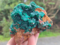 Natural Dioptase On Dolomite Specimens x 1 From Likasi, Congo - Toprock Gemstones and Minerals