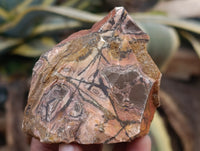 Natural Nguni Jasper Cobbed Specimens x 29 From Prieska, South Africa - Toprock Gemstones and Minerals