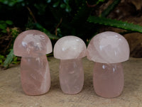 Polished Rose Quartz Mushrooms x 6 From Ambatondrazaka, Madagascar - Toprock Gemstones and Minerals