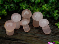 Polished Rose Quartz Mushrooms x 6 From Ambatondrazaka, Madagascar - Toprock Gemstones and Minerals