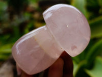 Polished Rose Quartz Mushrooms x 6 From Ambatondrazaka, Madagascar - Toprock Gemstones and Minerals