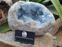 Natural Large Celestite Geode Specimen x 1 From Sakoany, Madagascar - Toprock Gemstones and Minerals