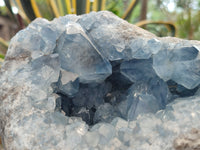 Natural Large Celestite Geode Specimen x 1 From Sakoany, Madagascar - Toprock Gemstones and Minerals