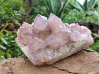 Natural Dark Amethyst Spirit Quartz Clusters x 3 From Boekenhouthoek, South Africa - Toprock Gemstones and Minerals