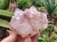 Natural Dark Amethyst Spirit Quartz Clusters x 3 From Boekenhouthoek, South Africa - Toprock Gemstones and Minerals