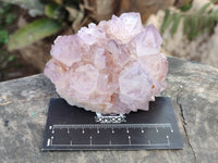 Natural Dark Amethyst Spirit Quartz Clusters x 3 From Boekenhouthoek, South Africa - Toprock Gemstones and Minerals