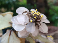 Hand Made Gemstone Tree x 1 From Southern Africa - Toprock Gemstones and Minerals