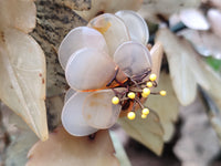 Hand Made Gemstone Tree x 1 From Southern Africa - Toprock Gemstones and Minerals