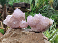 Natural Dark Ametrine Spirit Quartz Clusters x 4 From Boekenhouthoek, South Africa - Toprock Gemstones and Minerals