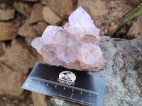 Natural Dark Ametrine Spirit Quartz Clusters x 4 From Boekenhouthoek, South Africa - Toprock Gemstones and Minerals