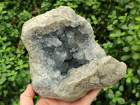 Natural Celestite Geode Specimens x From Sakoany, Madagascar - Toprock Gemstones and Minerals