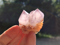 Natural Dark Ametrine Spirit Quartz Clusters x 20 From South Africa - Toprock Gemstones and Minerals