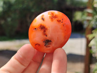 Polished Carnelian Palm Stones x 24 From Madagascar - Toprock Gemstones and Minerals