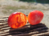 Polished Carnelian Palm Stones x 24 From Madagascar - Toprock Gemstones and Minerals