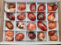 Polished Carnelian Palm Stones x 24 From Madagascar - Toprock Gemstones and Minerals