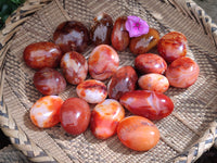Polished Carnelian Palm Stones x 24 From Madagascar - Toprock Gemstones and Minerals