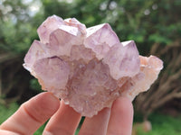 Natural Amethyst Spirit Quartz Clusters x 6 From Boekenhouthoek, South Africa - Toprock Gemstones and Minerals