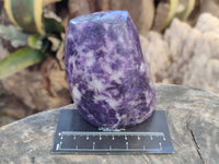 Polished Lepidolite Standing Free Forms x 4 From Zimbabwe - Toprock Gemstones and Minerals