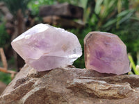 Natural Jacaranda Amethyst Single Quartz Crystals x 24 From Mumbwa, Zambia - Toprock Gemstones and Minerals