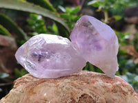 Natural Jacaranda Amethyst Single Quartz Crystals x 24 From Mumbwa, Zambia - Toprock Gemstones and Minerals