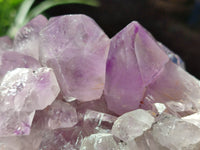 Natural Jacaranda Amethyst Quartz Clusters x 2 From Mumbwa, Zambia - Toprock Gemstones and Minerals