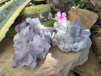 Natural Jacaranda Amethyst Quartz Clusters x 2 From Mumbwa, Zambia - Toprock Gemstones and Minerals