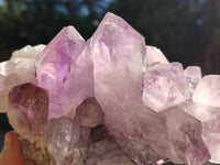 Natural Jacaranda Amethyst Quartz Clusters x 2 From Mumbwa, Zambia - Toprock Gemstones and Minerals